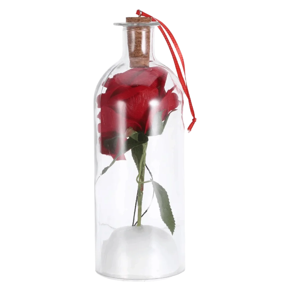 La Bouteille à Voix